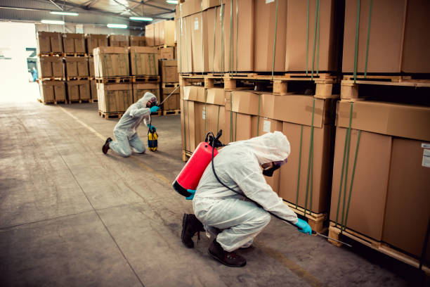 Best Exterminator Services  in Hobbs, NM