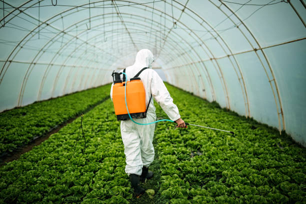 Best Commercial Pest Control Services  in Hobbs, NM
