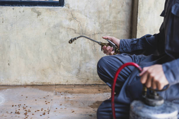 Best Pest Control Near Me  in Hobbs, NM