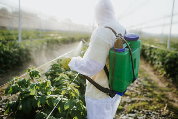 Best Wasp Removal Services  in Hobbs, NM